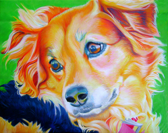 Millie © Beth Crosley 2012